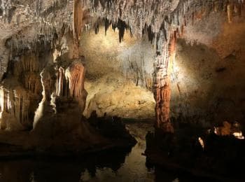 La Romana: cuevas de Maravillas, Altos de Chavón y tour de cigarros - Photo 4 (Gallery view)