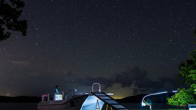 Vieques: Bioluminescent Bay Boat Tour