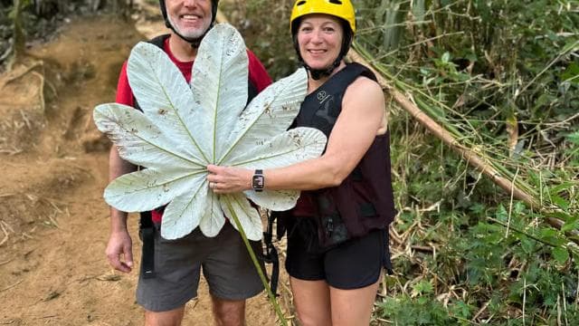 Private El Yunque Adventure - Pickup + Waterslide and Swing