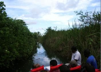 米切斯：埃尔利蒙泻湖带导游的皮划艇之旅 - Photo 2 (Gallery view)