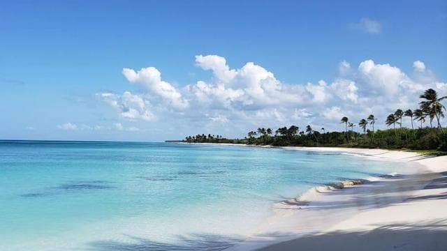 Punta Cana: Saona Adası Tam Gün Grup Turu - Photo 4 (Gallery view)