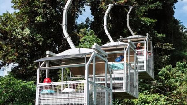 Monteverde: TreeTram Cableway and Cloud Forest Hiking Trail
