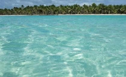 Escursione giornaliera privata all'isola di Saona da Juan Dolio - Photo 3 (Gallery view)