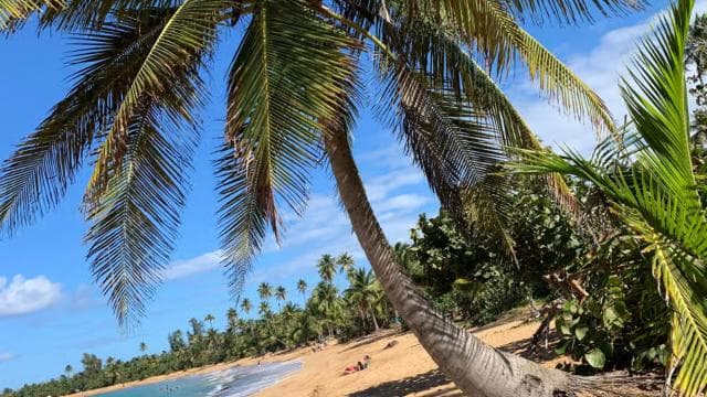 San Juan: Puerto Rico's Lifestyle, Art, and Culture Tour