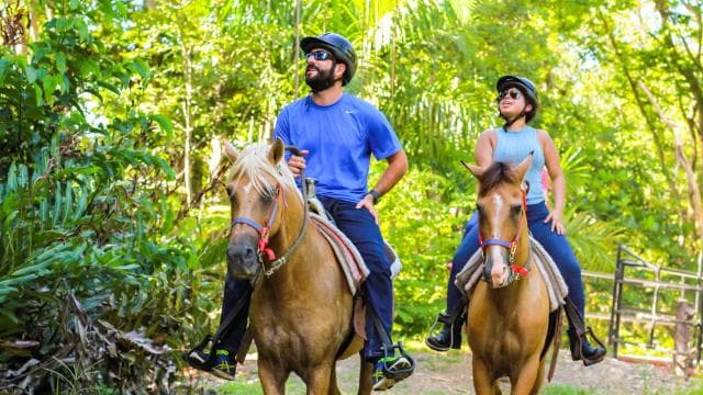 Carabalí Rainforest Park: Rainforest Horseback Riding Tour