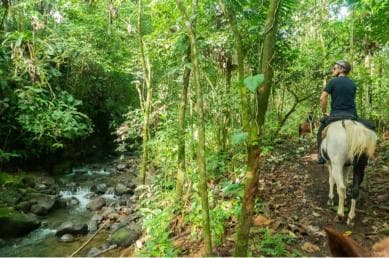 Jarabacoa: Private Baiguate Waterfall Horseback Riding Tour - Photo 4 (Gallery view)