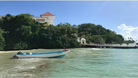 Punta Cana: Walbeobachtung in der Samaná Bay und Cayo Levantado - Photo 5 (Gallery view)