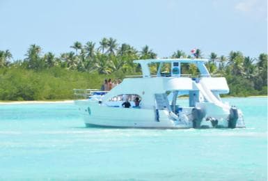 From Santo Domingo: Whale Watching & Cayo Levantado - Photo 2 (Gallery view)