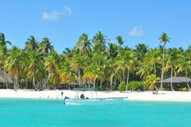 Saona Island Day Trip + Lobsters Included - Photo 2 (Gallery view)