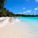 Punta Cana: Catamaran to Saona Island with Lunch & Open Bar