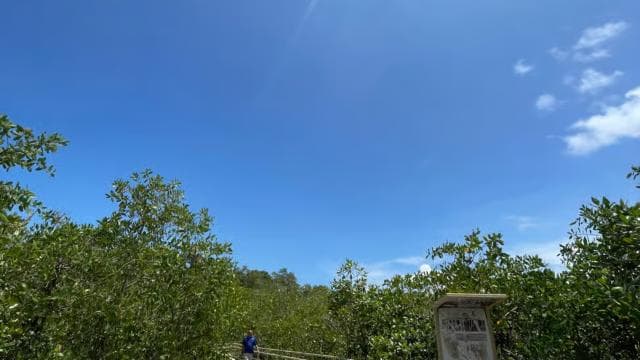 Manuel Antonio National Park: Animal watching hike