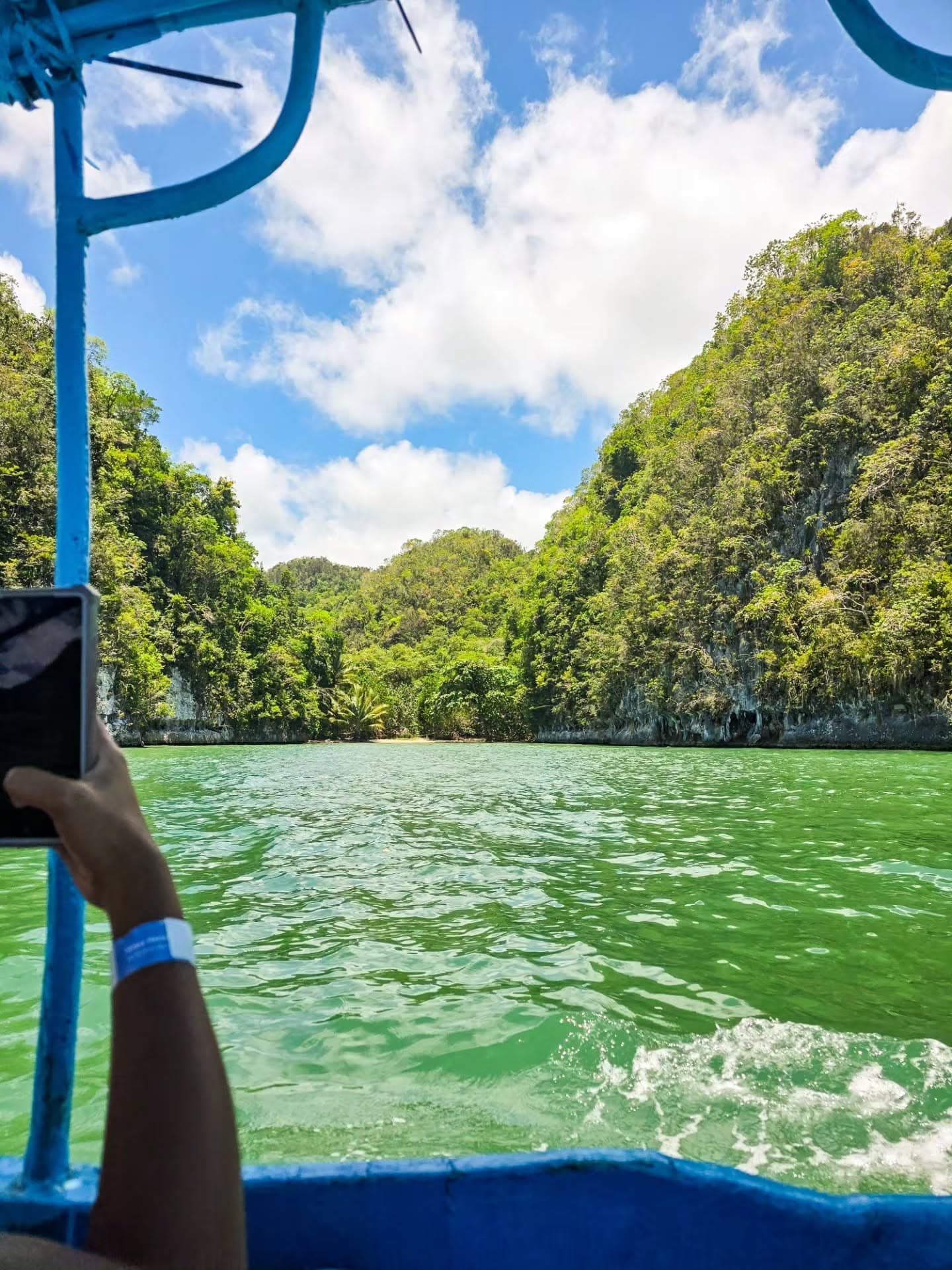Los Haitises & Cayo Levantado Tour from Las Terrenas | $79 Ecotour Adventure - Photo 4 (Gallery view)