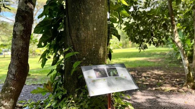 Self Guided Nature Hike with Ocean View Photo spots in Jaco