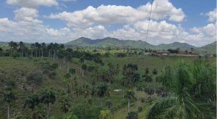 Punta Cana: Zipline, Horseback Riding, and Buggy Combo