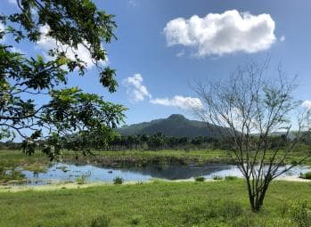 VIP DayPass | ATV's, Zip Lines, Horse Riding| Hotel & Cruise