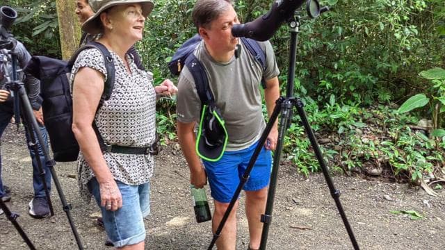 Parque Nacional Manuel Antonio: Visita Guiada con ENTRADA INCLUIDA - Photo 5 (Gallery view)