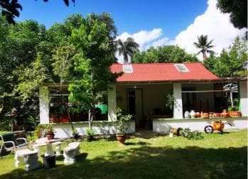 Puerto Plata: Taino Valley and Dominican Flavor Experience - Photo 2 (Gallery view)
