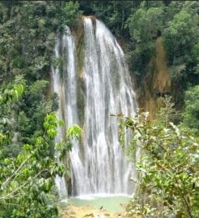 Samana Whale watching and Bacardi Island from Punta Cana