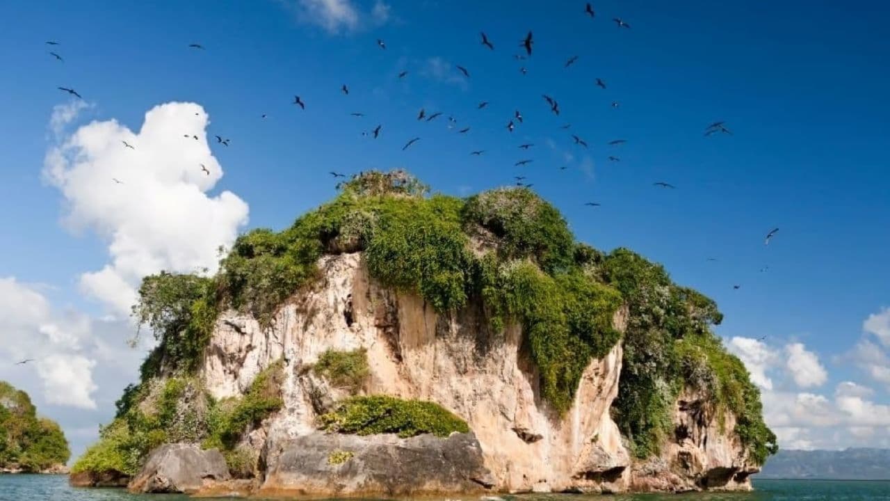Los Haitises: Cueva el Naranjo y Laguna Cristal from Sabana de la mar - Photo 3 (Gallery view)