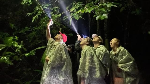 Manuel Antonio: Night Walking Tour - Photo 2 (Gallery view)