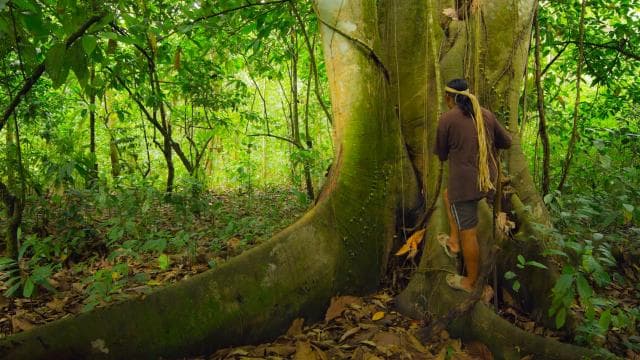 La Fortuna: Small-Group Maleku Indigenous Reserve Visit