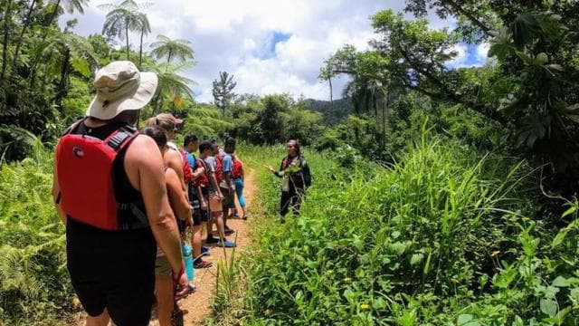 From San Juan: El Yunque National Rainforest Half-Day Tour - Photo 4 (Gallery view)