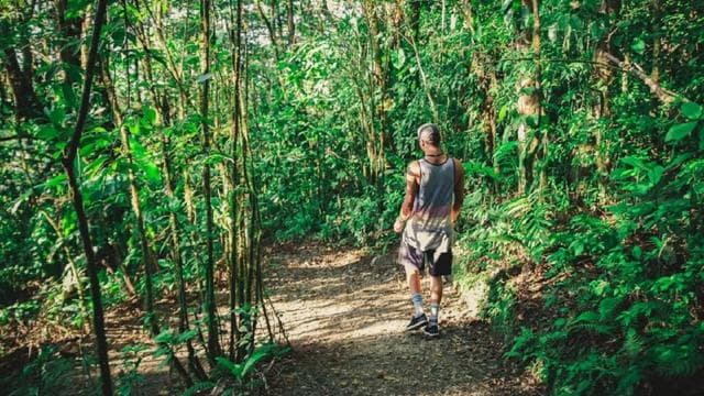 From Monteverde: Monteverde Suspension Bridge Guided Hike - Photo 2 (Gallery view)