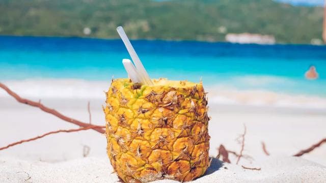 Punta Cana: Samana Full Day Trip Whale Cascada El Limon
