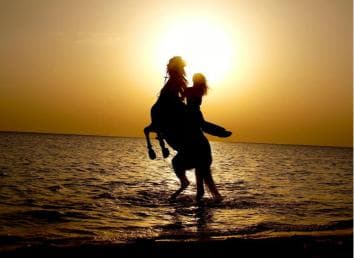 Makadi Bay: Horse Riding in Desert & Sea w Guide + Transfers