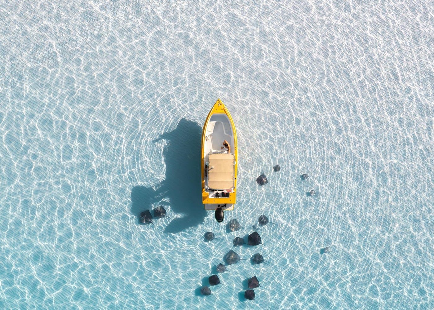 Private Boat Tours: Customize Your Grand Cayman Adventure!