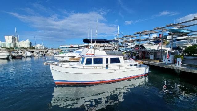 BEACH DAY EXPERIENCE | Private "Party Boat" San Juan Bay