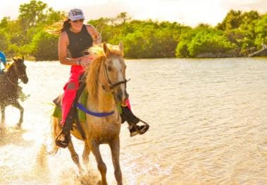 Punta Cana: Macao Beach & Forest Horseback Riding Tour - Photo 2 (Gallery view)