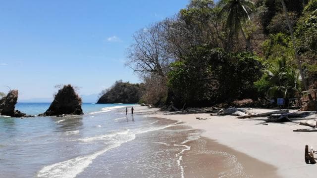 Paquera: Isla Tortuga Snorkeling tour