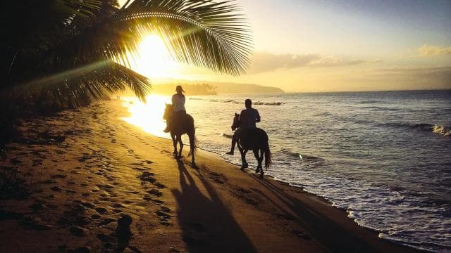 Playa Conchal: Horseback Riding -Sunset Private Tour For All