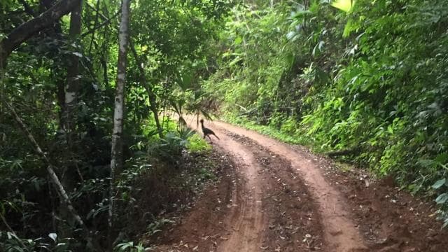 Prohlídka vodopádu Explorer - Dominican Republic