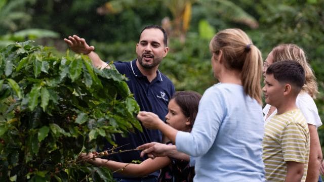 Jayuya: Coffee Tour and Workshop at Hacienda Prosperidad