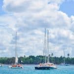 From Punta Cana: Saona Island Full Day Trip with Lunch