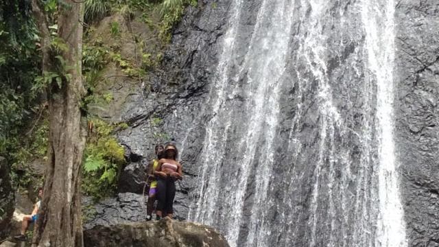 San Juan: El Yunque Rainforest Guided Tour - Photo 3 (Gallery view)