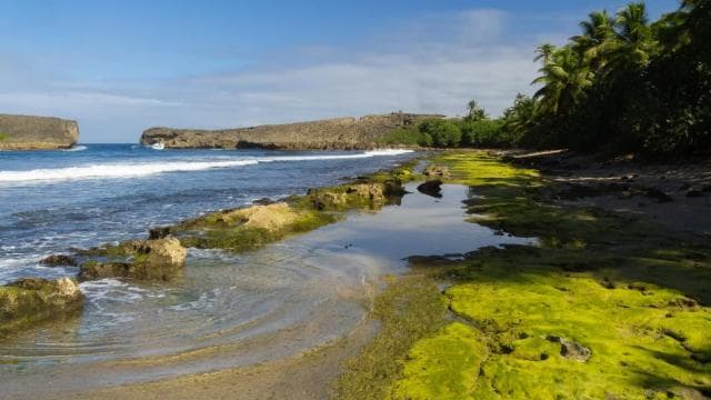 From San Juan: Cave of the Taino Indian Trek and Beach Tour