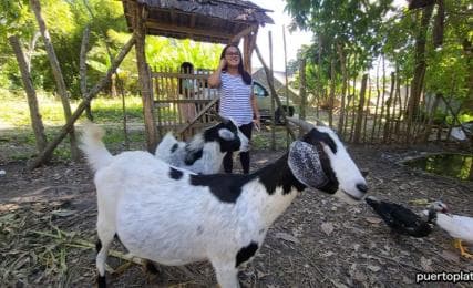 Tour de safari por el campo de República Dominicana desde Puerto Plata - Photo 3 (Gallery view)