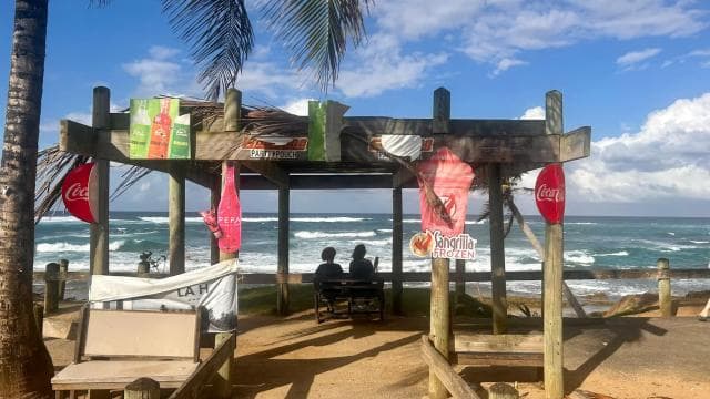 From San Juan: Pinones Bar Hopping Food Tour & Caguas River