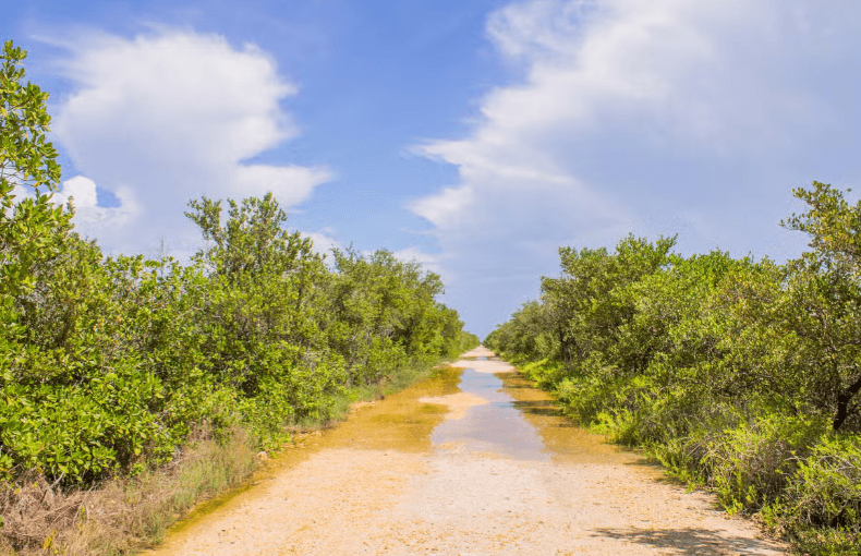Ciénaga de Zapata National Park Tour