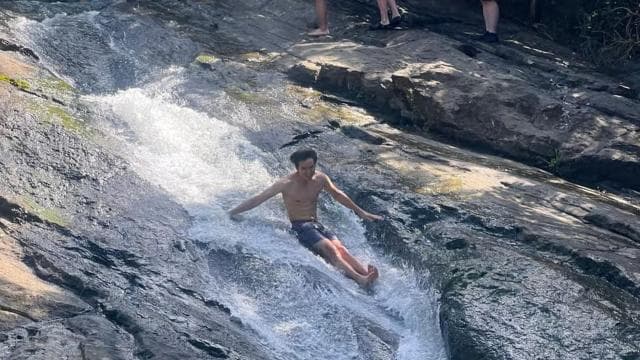 San Juan : randonnée dans la forêt tropicale d'El Yunque et plage de Luquillo - Photo 2 (Gallery view)