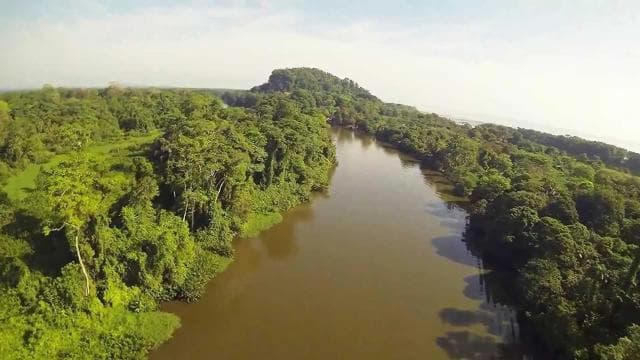 Tortuguero: Tour in the Tortuguero hill (dormant volcano)
