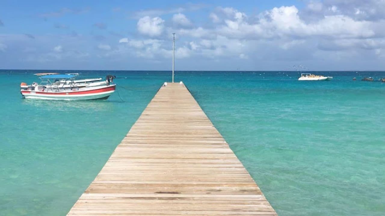 Punta Cana: Saona Island Day Trip with VIP Option - Dominican Republic