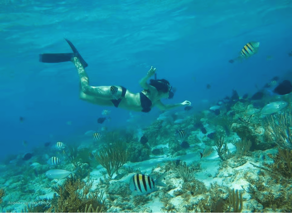Von Fajardo: Bootfahren und Schnorcheln auf der Insel Culebra mit All Inclusive - Photo 2 (Gallery view)
