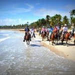 Punta Cana: Horseback Riding Through the Beautiful Beaches - Dominican Republic