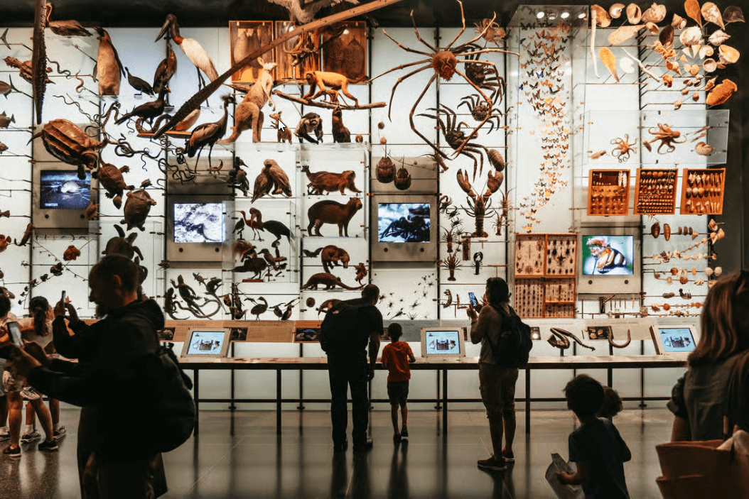 New York City: Ticket für das American Museum of Natural History - Dominican Republic