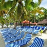 Saona Island: Full-Day Boat Tour with Buffet Lunch & Drinks  (Copy) - Photo 3 (Gallery view)