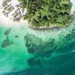 Самана: наблюдение за китами и экскурсия на Кайо Левантадо на целый день - Photo 4 (Gallery view)